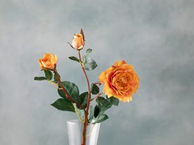 Autumn Rose Single Branch Artificial Flower 50 Cm Light Orange