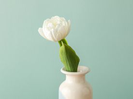 Tulip Single Branch Artificial Flower 27.5 Cm White