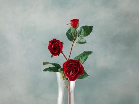 Classy Rose Single Branch Artificial Flower 50 Cm Red