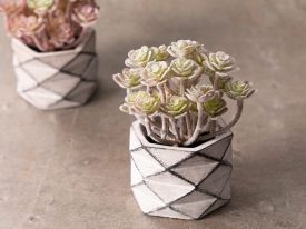Succulent Ball Vazolu Artificial Flower 11.4x11.4x42.2 Cm White