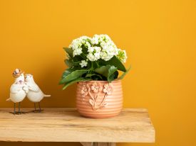 Flowertopia Flowerpot Pink