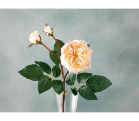 Autumn Rose Single Branch Artificial Flower 55 Cm Cream
