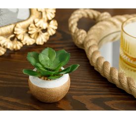 Succulent Ball Vase Artificial Flower 7.5x7.5x8.5 Cm Green