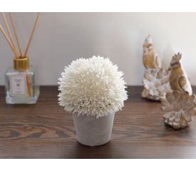 Flower Bunch Artificial Flower With Ceramic Vase 11x11x14 Cm White