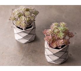 Succulent Ball Artificial Flower with Vase 11.4x11.4x42.2 Cm Pink